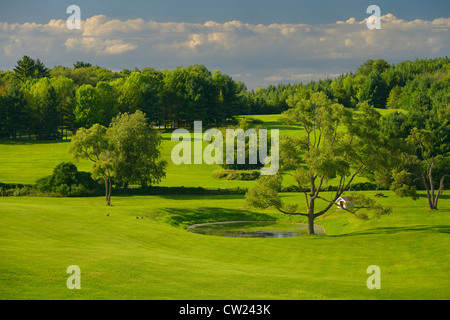 Les champs d'herbe verte tondue avec étang et arbres au pays un centre équestre horse farm Schomberg (Ontario) Banque D'Images