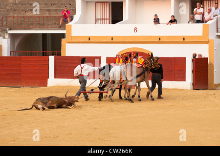 La tauromachie en Espagne. 20 juillet 2012, la Linea de la Concepcion, Espagne. Banque D'Images