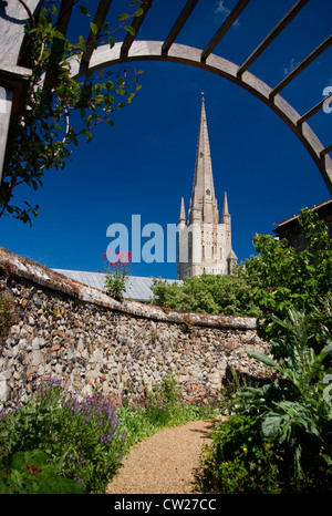 La cathédrale, vue de la Cathédrale, herbe du jardin, Norfolk. Banque D'Images