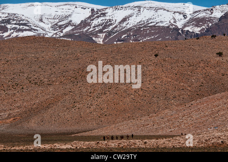 Paysage spectaculaire dans le sud de l'Atlas, Maroc Banque D'Images