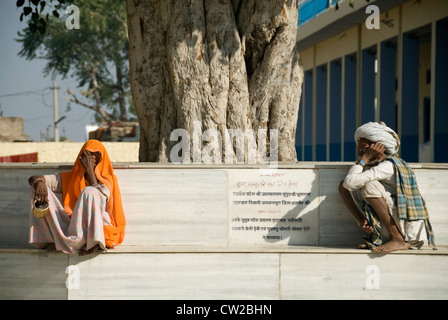 Personnes âgées couple Rajasthani reposant à l'ombre d'un Banyan Tree - Pushkar, Rajasthan Banque D'Images