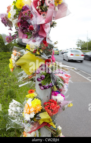 Tributs floraux sur le site de l'accident mortel de la circulation Banque D'Images