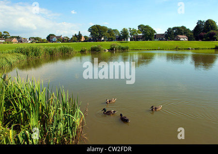 Wrea Green Village,Duck Pond,Preston Lancashire, Royaume-Uni Banque D'Images