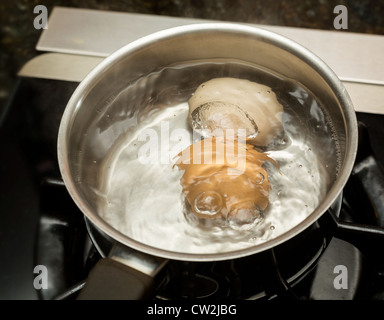 Deux œufs dans l'eau bouillante dans la casserole en acier inoxydable sur une cuisinière à gaz Banque D'Images