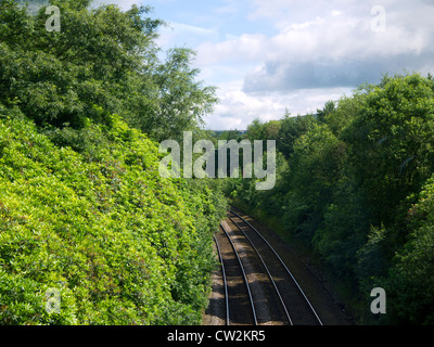 Voie de chemin de fer près de Holmfirth dans la dernière de l'été, Vin de Pays d'Yorkshire Angleterre Banque D'Images