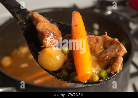 Navarin printanier, ragoût d'agneau français avec les pommes de terre, les navets et les carottes Banque D'Images