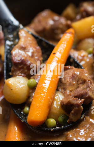 Navarin printanier, ragoût d'agneau français avec les pommes de terre, les navets et les carottes Banque D'Images