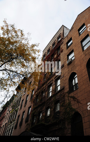 Ciel gris trottoir oblique portrait arbre d'automne, tènements, lierre rouge façade rampante 55 Place Saint Marc, East Village, New York Banque D'Images