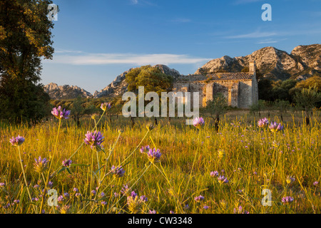 Aube sur Chapelle de Romanin et les montagnes des Alpilles proche de Saint Remy de Provence, France Banque D'Images