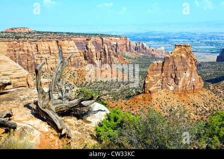 L'une des nombreuses vues spectaculaires dans le Colorado National Monument près de Fruita, Colorado. Banque D'Images