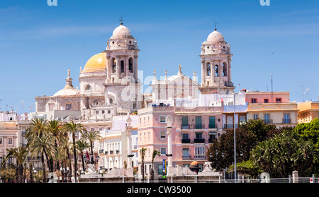 La Cathédrale de Cadix, Andalousie, Andalousie, Espagne, Europe. Avec de beaux golden magnifique toit en dôme. Banque D'Images