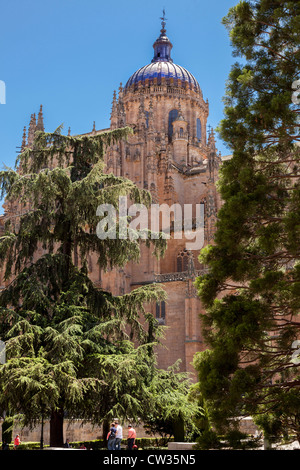 Salamanque, Castille et Leon, Espagne, Europe. La splendide cathédrale bâtiments dans bel ensoleillement dans le centre-ville. Banque D'Images