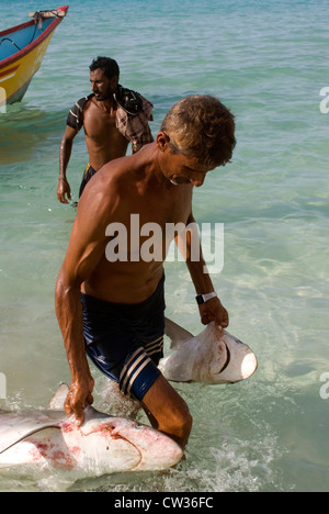 Les pêcheurs de requins sur la plage Qalansiya, île de Socotra, au Yémen, en Asie occidentale, Péninsule Arabique. Banque D'Images