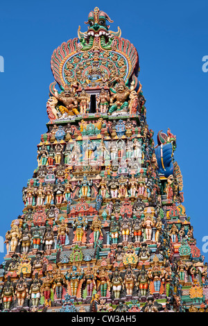 Détail de la tour. Sri Meenakshi temple. Madurai. L'Inde Banque D'Images
