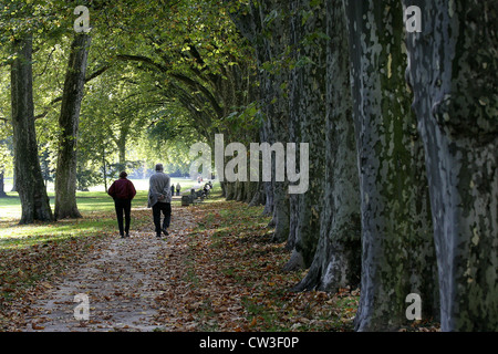 Les gens marcher dans une allée d'arbres à Rosensteinpark Banque D'Images