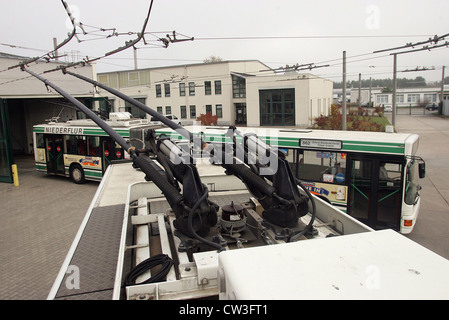 BBG Barnimer bus company 65 ans O bus Banque D'Images