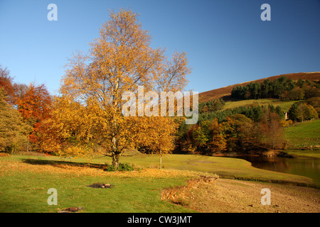 Couleurs d'automne à Ladybower Reservoir dans th East Derent Valley, parc national de Peak District, Derbyshire, Angleterre, Royaume-Uni - novembre Banque D'Images