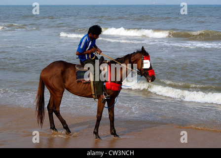 L'Équitation Homme à Chennai Marina Beach à soir.promenade à cheval à travers la mer scène Marina Beach à Tamil Nadu Inde Banque D'Images