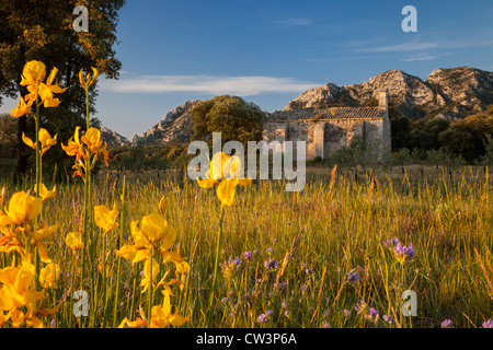 Aube sur Chapelle de Romanin et les montagnes des Alpilles proche de Saint Remy de Provence, France Banque D'Images