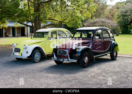 Deux voitures vintage Citreon à Seppeltsfield Winery dans la Barossa Valley en Australie du Sud Banque D'Images