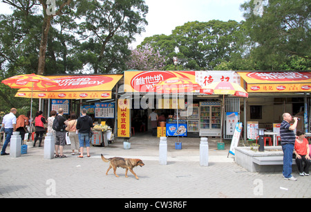 L'alimentation de rue chinois sur l'île de Lantau, Hong Kong Banque D'Images