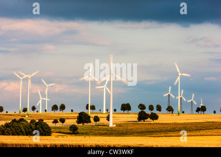 Les éoliennes, l'énergie éolienne, l'énergie de remplacement du parc de production. Meerhof, Rhénanie du Nord-Westphalie, Allemagne, Europe. Banque D'Images