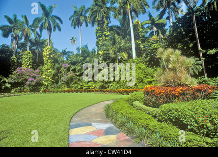 Sunken Gardens, en Floride, les jardins botaniques, Saint Petersburg, Floride Banque D'Images