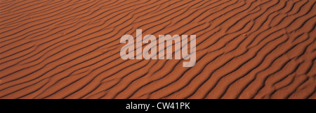 Ce sont les dunes de sable rose à Coral Pink Sand Dunes State Park. Il y a des modèles de ligne dans le sable du vent. Banque D'Images