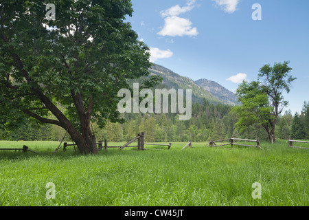 L'État de Washington USA Stehekin North Cascades National Park et verger historique Buckner Buckner Homestead Homestead heritage Banque D'Images