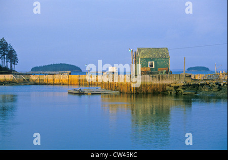 Lobster House sur le bord de Penobscot Bay de Stonington moi en automne Banque D'Images