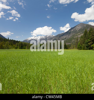 L'État de Washington USA Stehekin North Cascades National Park et verger historique Buckner Buckner Homestead Homestead heritage Banque D'Images