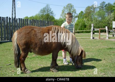 Garçon dans les oculaires avec Shettland pony Banque D'Images