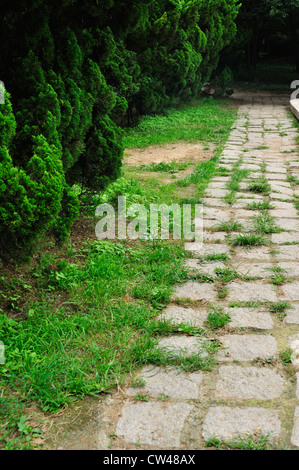 Tremplin chemin dans un paisible jardin vert Banque D'Images