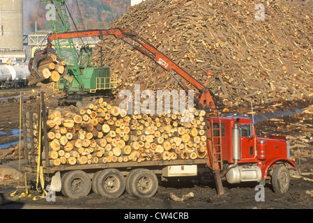 L'ajout de grues des journaux au grand tas de bois prêt à être transformé en papier à l'usine de papier Boise Cascade dans la région de Rumford (Maine) Banque D'Images