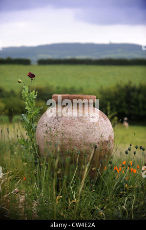 Une urne en terre cuite dans un pré entouré de terres agricoles jardin style UK Banque D'Images