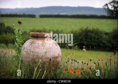 Une urne en terre cuite dans un pré entouré de terres agricoles jardin style UK Banque D'Images