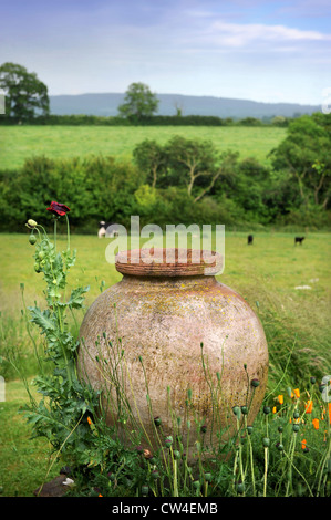 Une urne en terre cuite dans un pré entouré de terres agricoles jardin style UK Banque D'Images