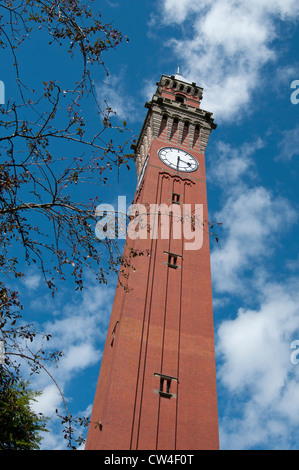 À tout droit jusqu'à la Joseph Chamberlain tour de l'horloge sur le campus de l'Université de Birmingham, UK Banque D'Images