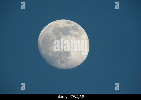 La lune céleste pendant le jour en Nannaj Blackbuck Sanctuary Banque D'Images