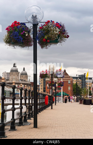 Une vue de la corbeilles suspendues sur Princes Dock Street Banque D'Images