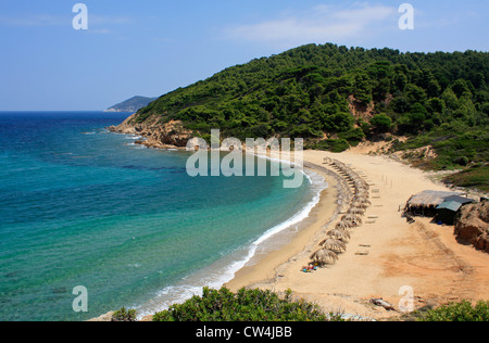 Agistros Beach Elias Bay l'île de Skiathos Grèce Mer Egée Sporades UE Union Européenne Europe Banque D'Images