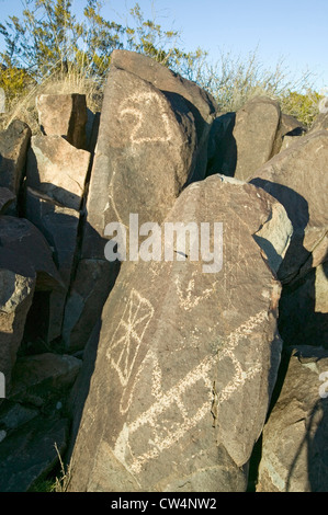 Trois Rivières Site national Petroglyph (BLM) Site de gestion des terres du Bureau comporte une image d'une tête d'Aigle un de plus que 21 000 Banque D'Images