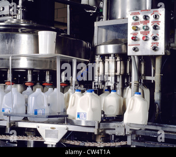 La mise en bouteilles, contenants de 1 gallon de lait Banque D'Images