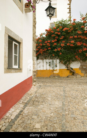 Rues étroites et de bougainvilliers plante dans le village d'Obidos fondée par les Celtes en 300 av. J.-C., le Portugal Banque D'Images
