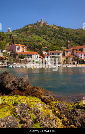 Fort Saint Elme monte la garde sur la ville de Collioure le long de la mer Méditerranée, le Languedoc-Roussillon, France Banque D'Images