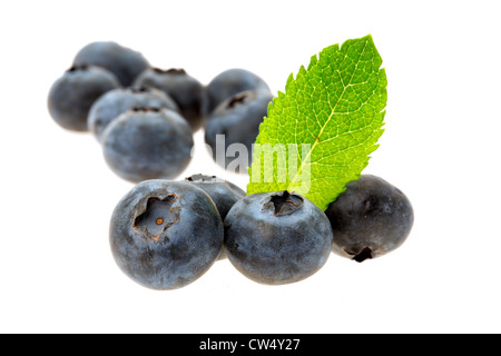 Close-up image of des bleuets avec une feuille verte - profondeur de champ - studio photo avec un fond blanc Banque D'Images