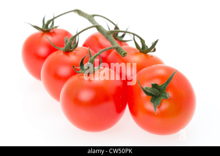 Les tomates fraîches sur la vigne - profondeur de champ - studio shot Banque D'Images