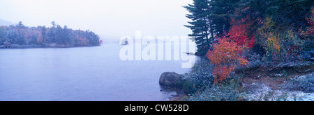 La neige et les arbres d'automne, des montagnes Adirondack, New York State Banque D'Images