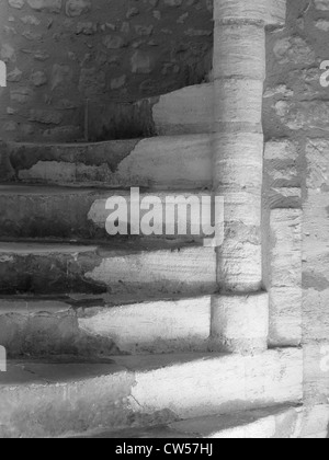 Un B&W photo d'un escalier en spirale en pierre dans un ancien bâtiment Banque D'Images