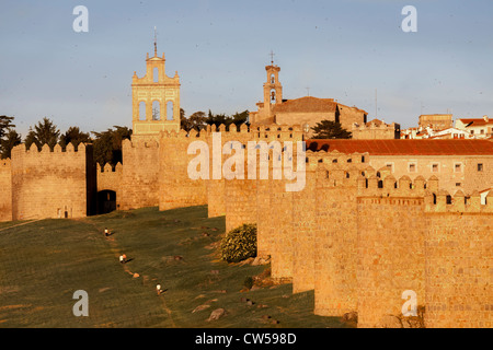 La ville médiévale d'Avila dans la lumière du soir, Castille et León, Espagne, Europe. Banque D'Images